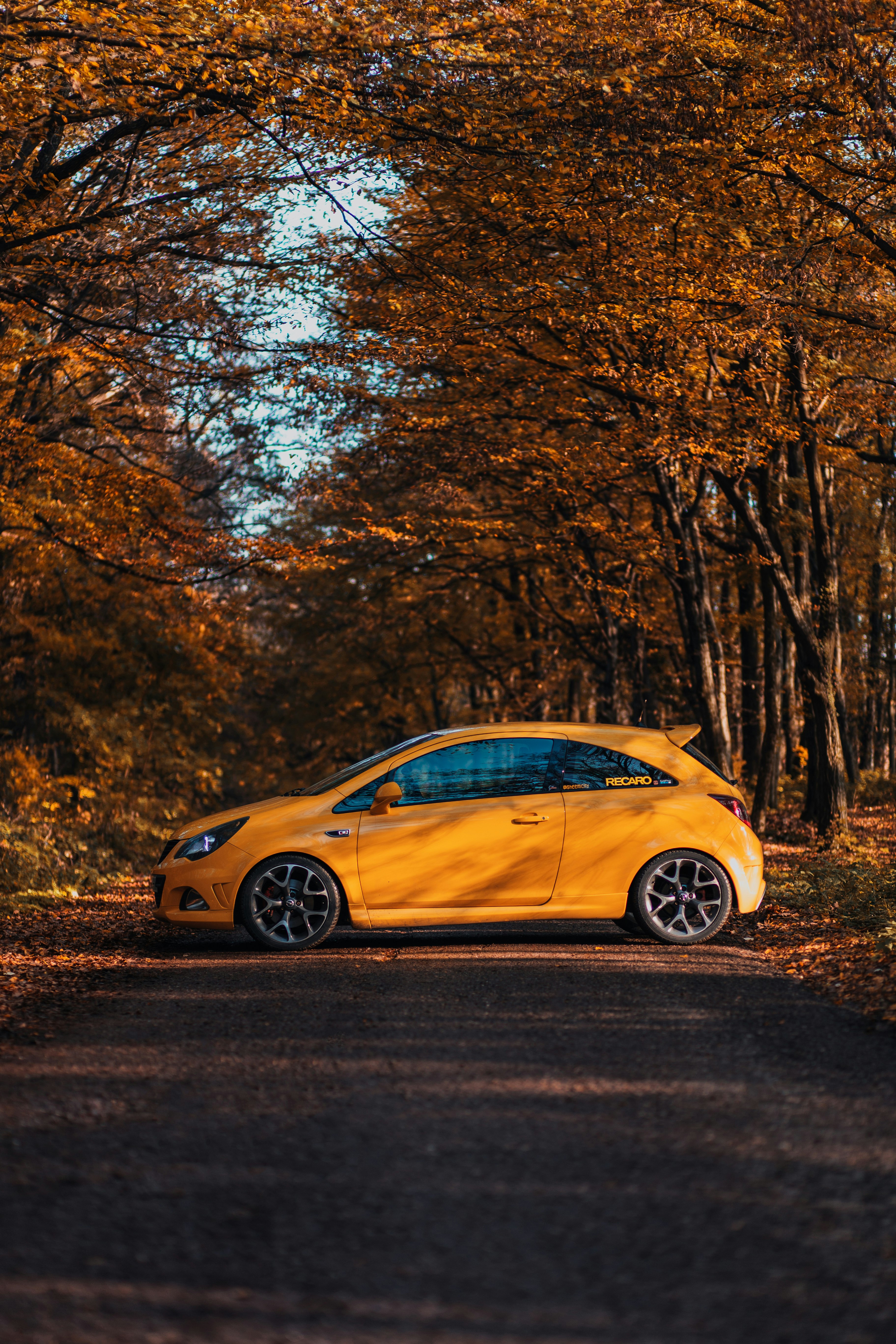 yellow porsche 911 parked near brown trees during daytime